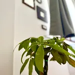 Demirà - Chic Panoramic Bed & Breakfast 4*