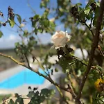 Demirà - Chic Panoramic